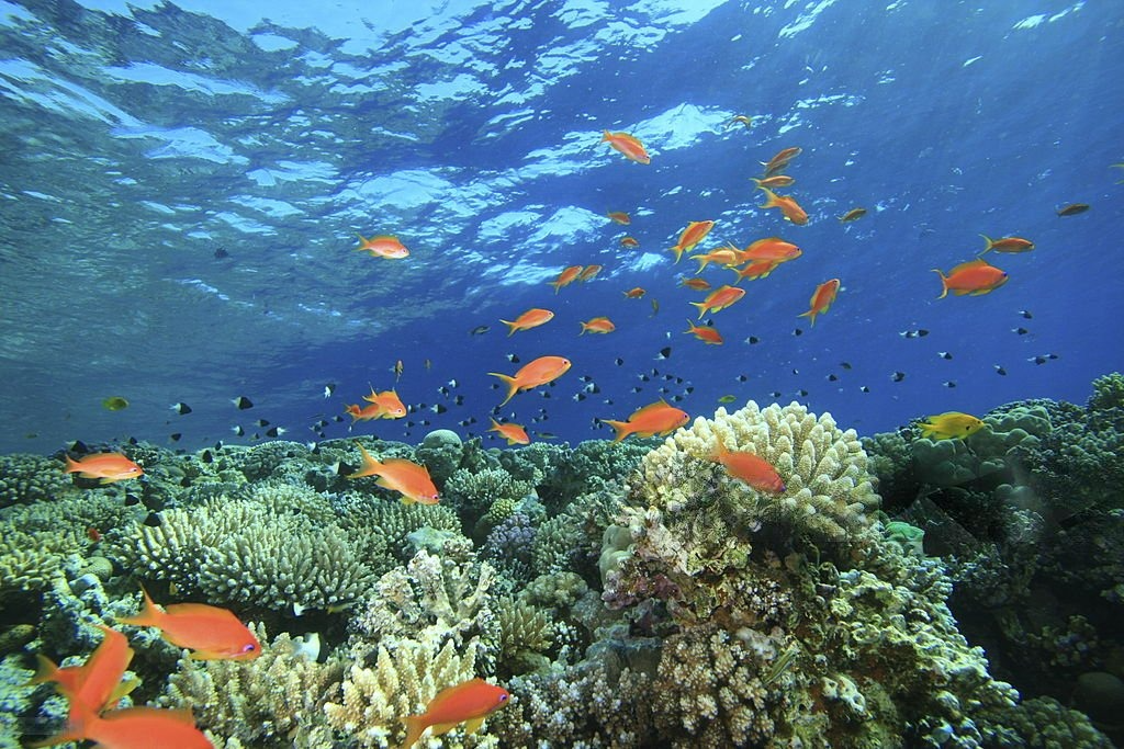 DeWatermark.ai_1723898941586