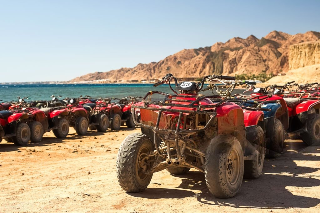 DeWatermark.ai_1723899037025