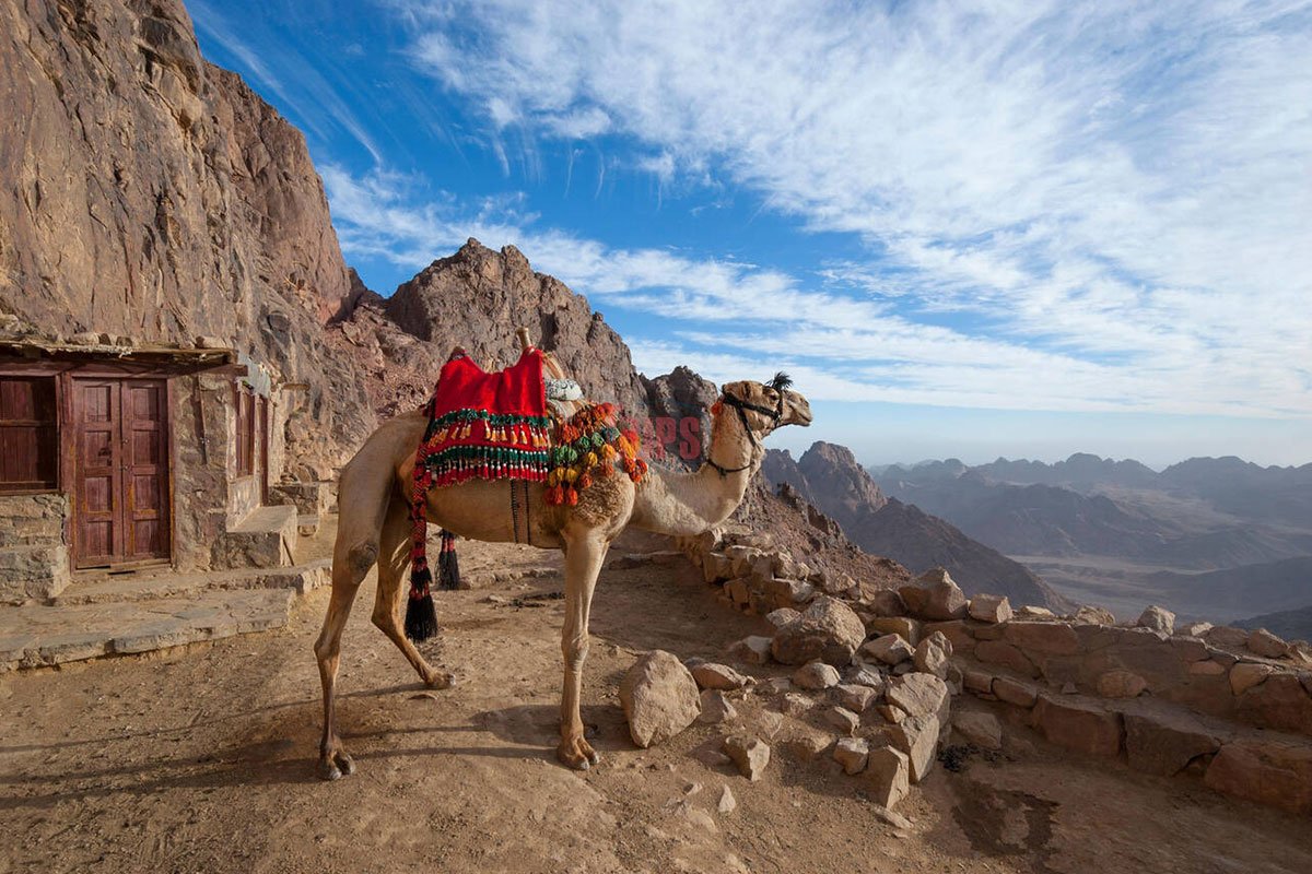 Mount Sinai (Jabal Moses) - Trips in Egypt