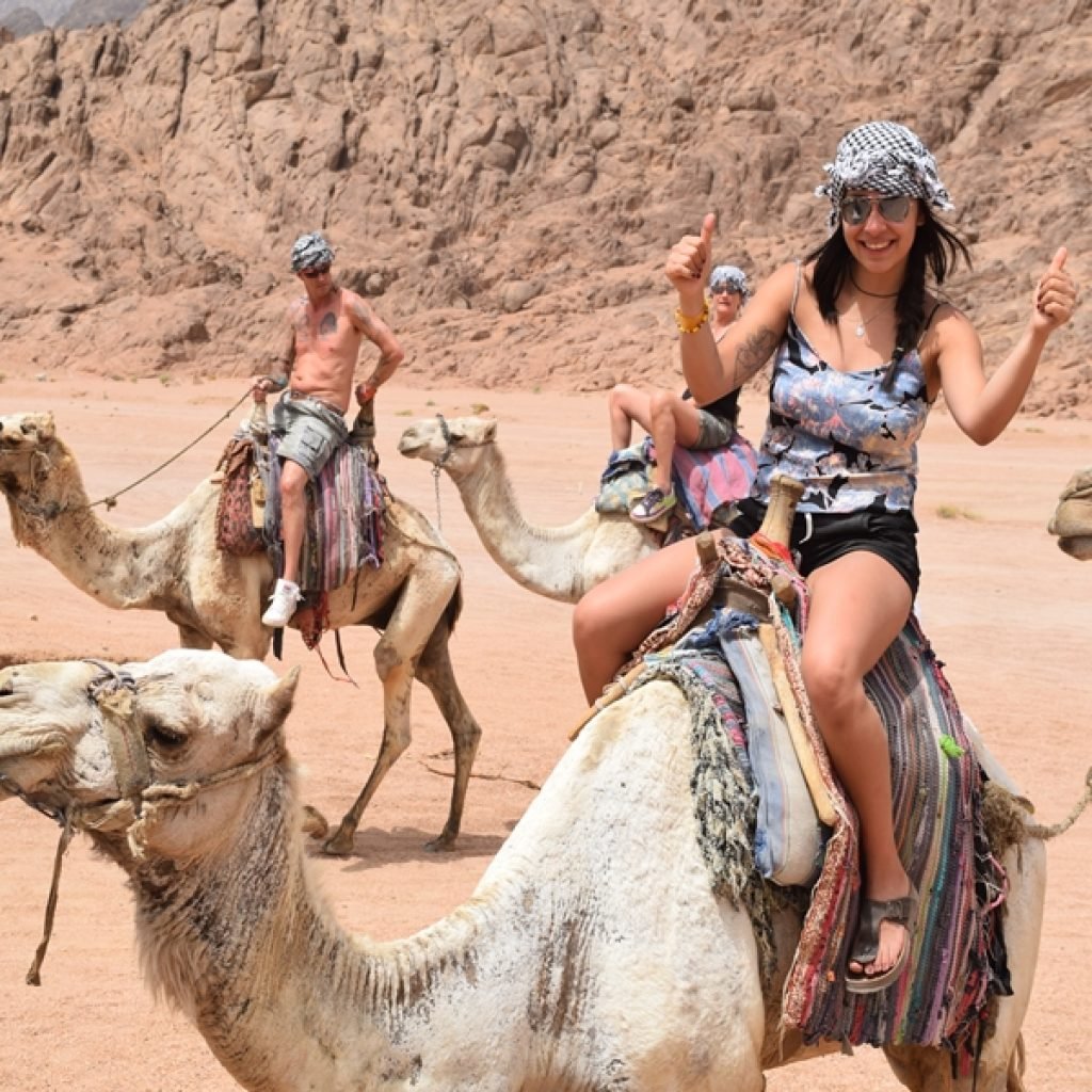 camel-ride-safari-adventures-sharm-1024x1024