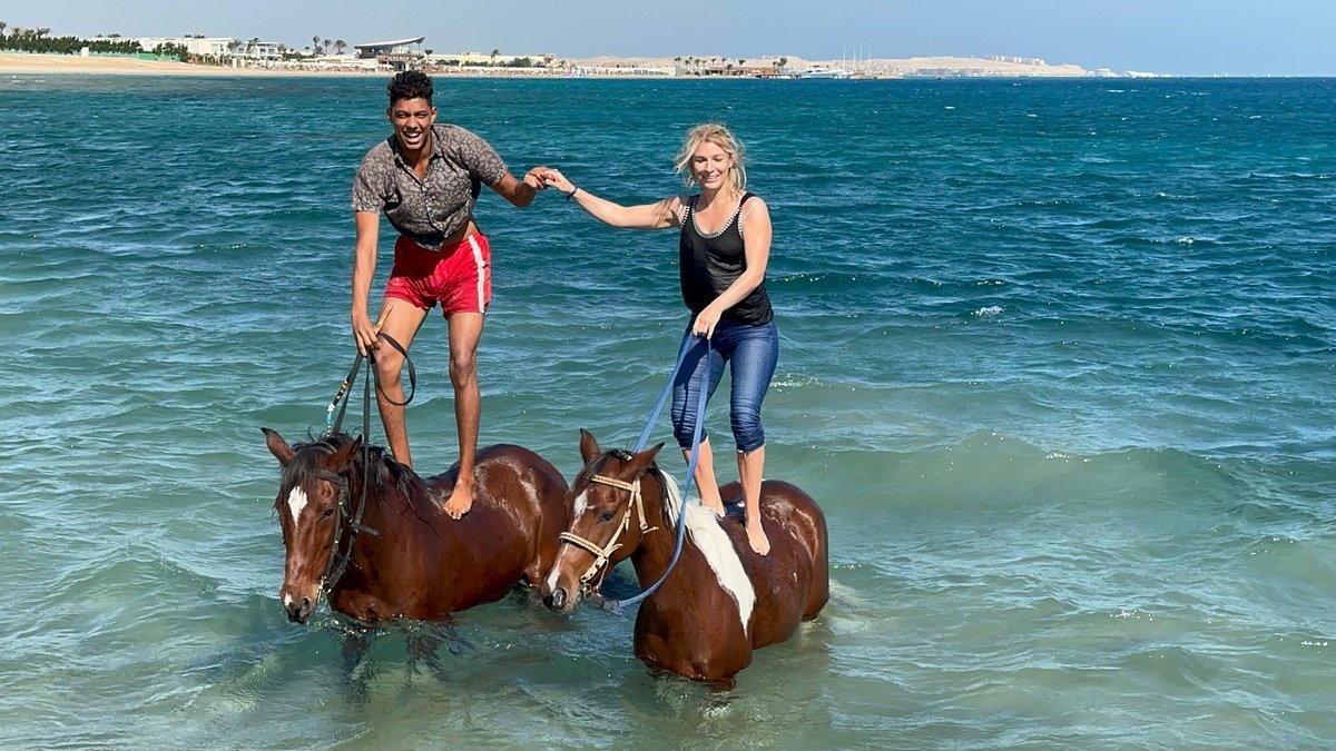 hurghada-horses