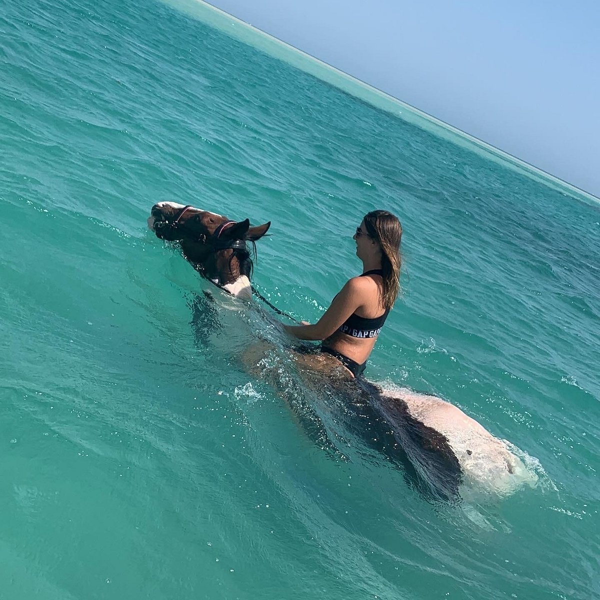 swimming-with-the-horses (1)