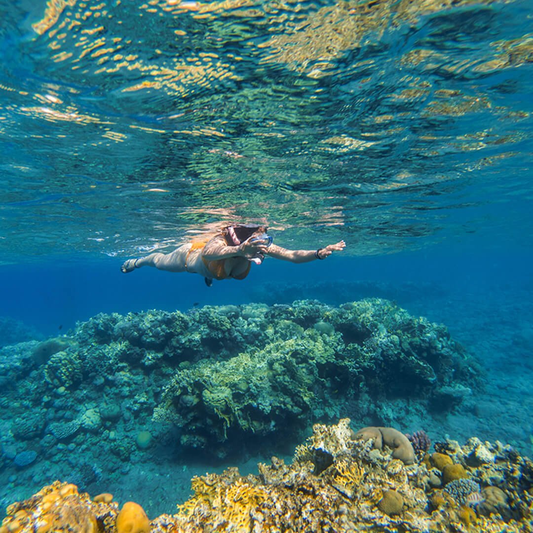 woman-snorkeling-underwater-above-coral-reef-2023-11-27-05-22-06-utc-copy-1