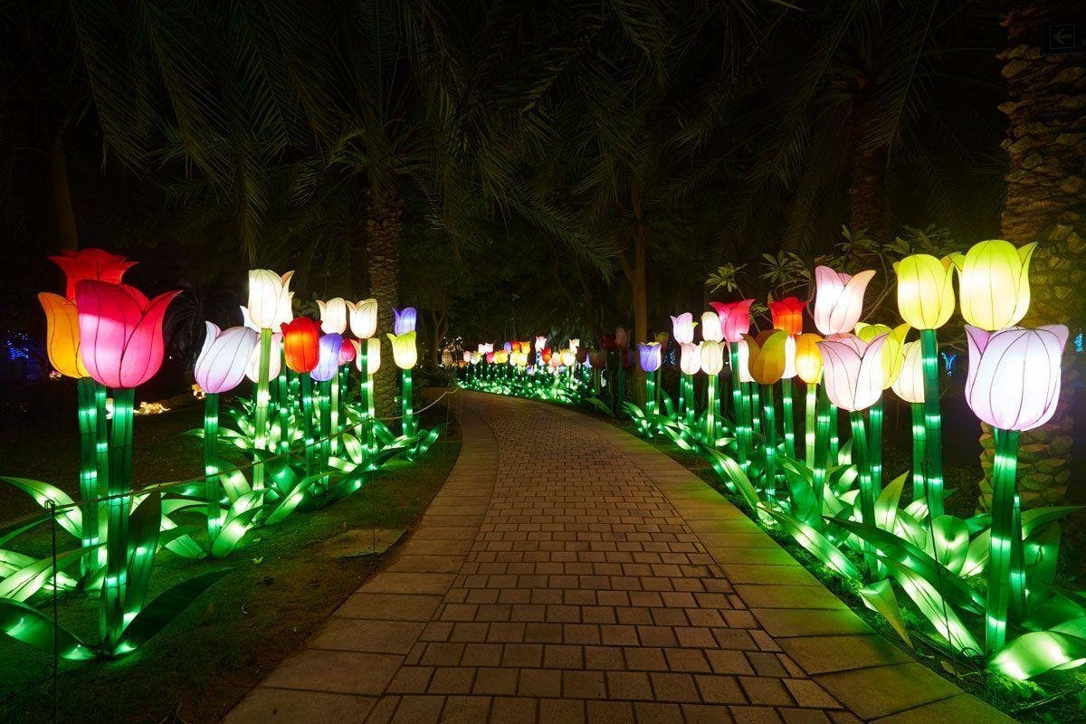 7ZsH5MUx-dubai-garden-glow_4