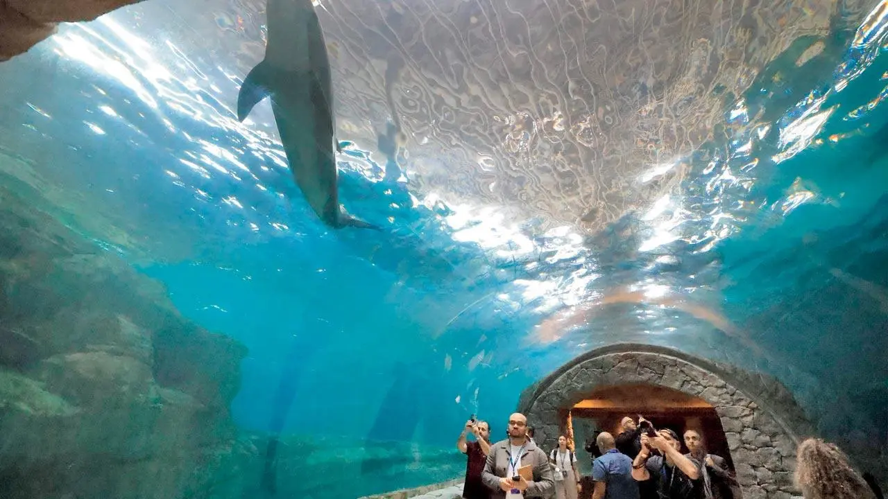 A-five-storied-ocean-a_d