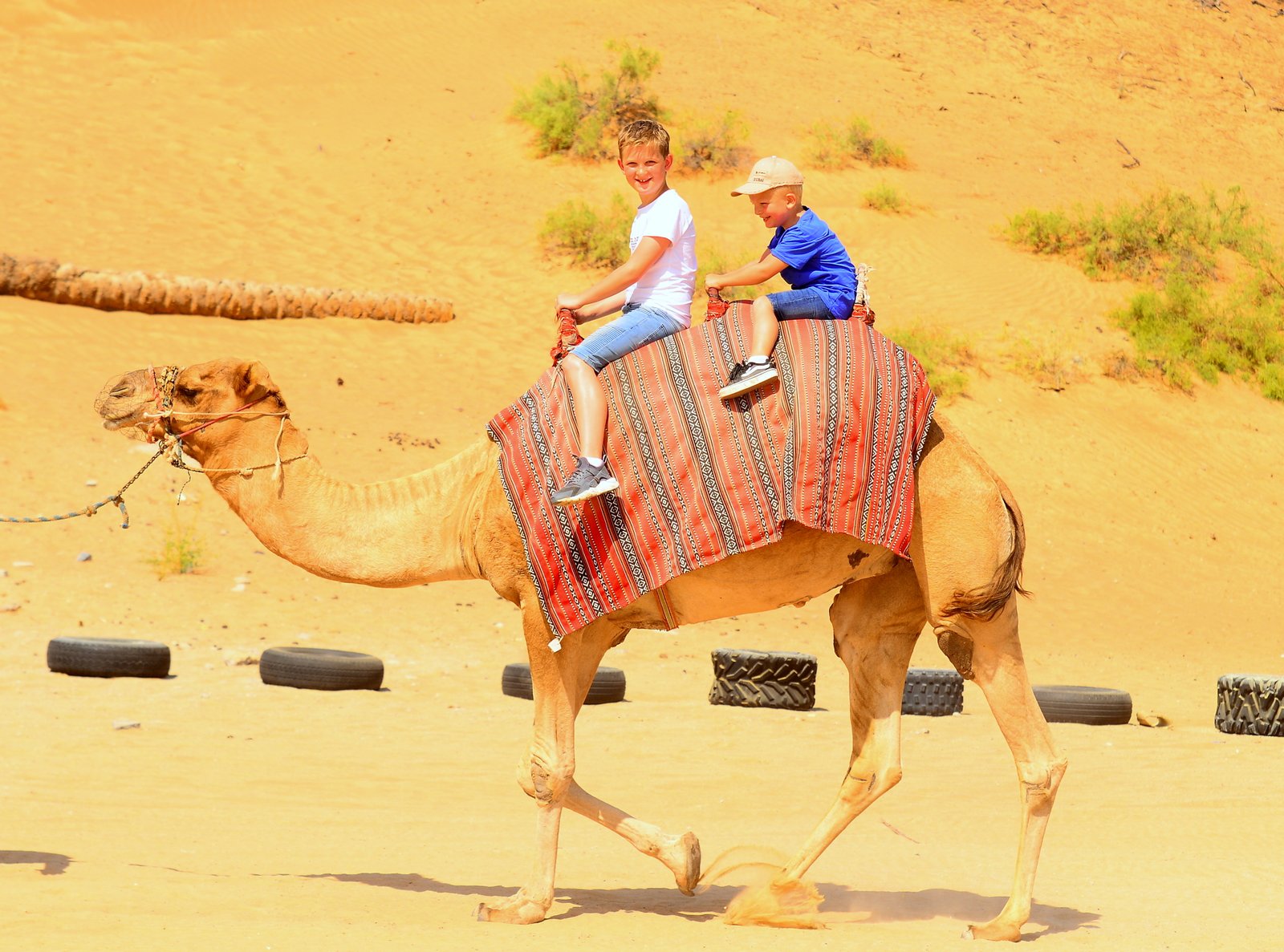 HAMiDO-PHOTOGRAPHER*>00971563030138: