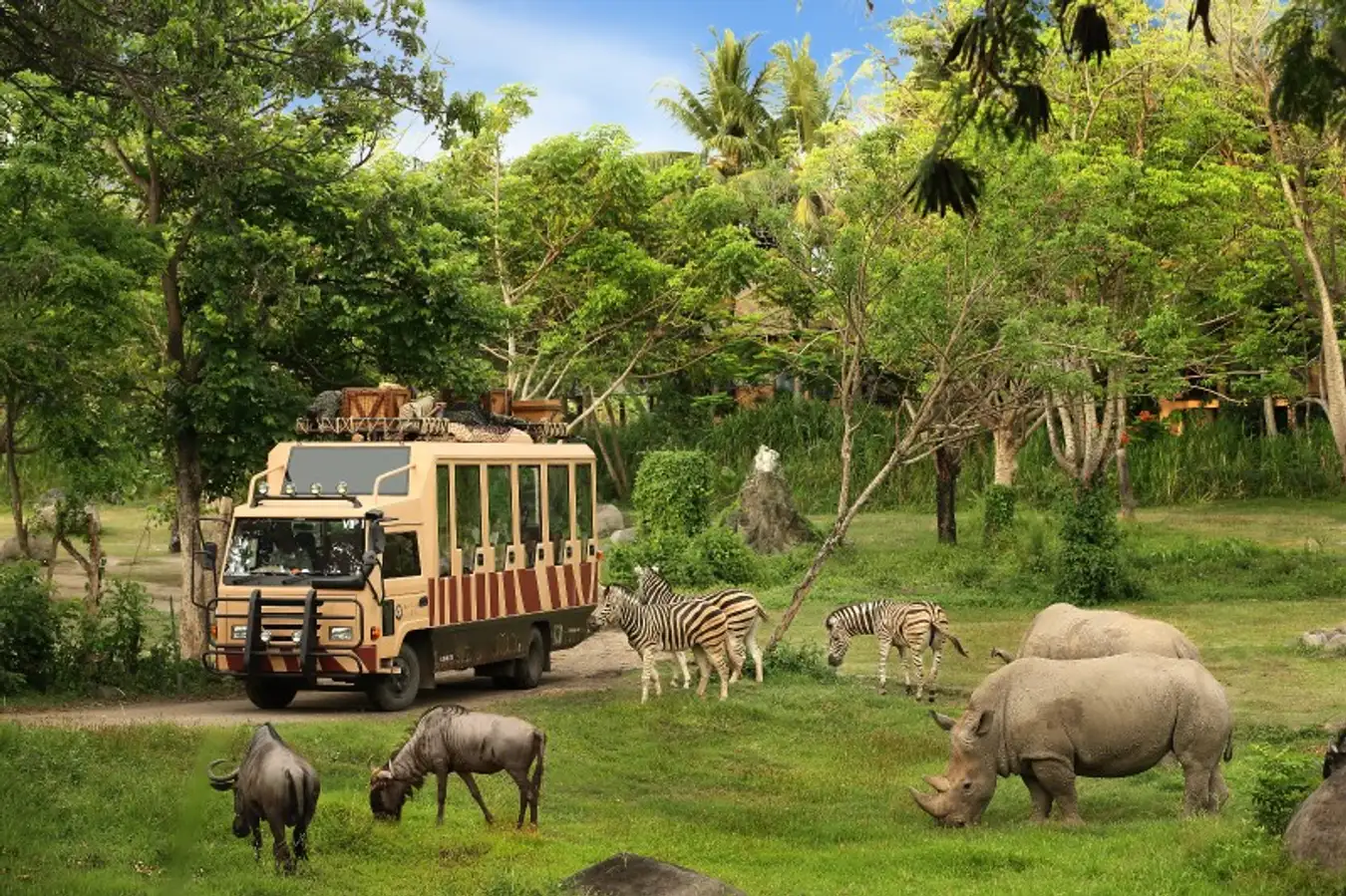 Bali-Safari-Park-Traveloka-Xperience-5