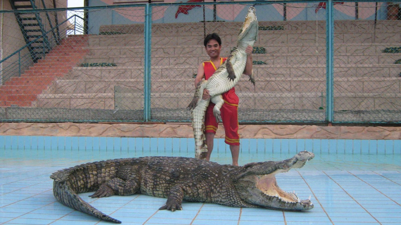 IMG_0221-scaled