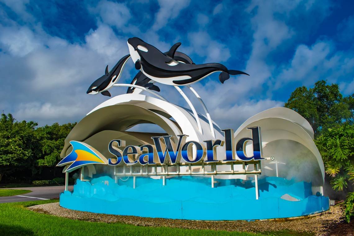 SeaWorld-Abu-Dhabi-Tour