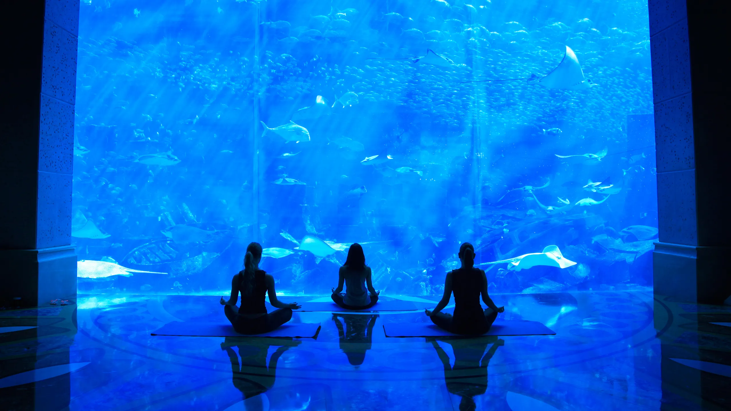 Yoga-at-Aquarium-at-Atlantis_the-Palm_2018__MG_0599