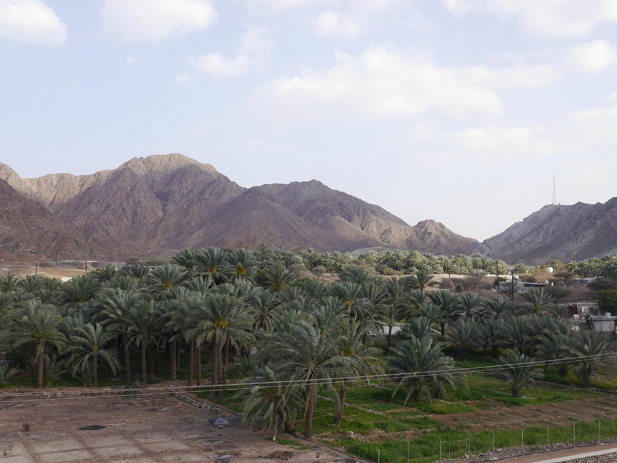 al-bithnah-fort