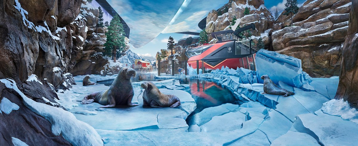 arctic