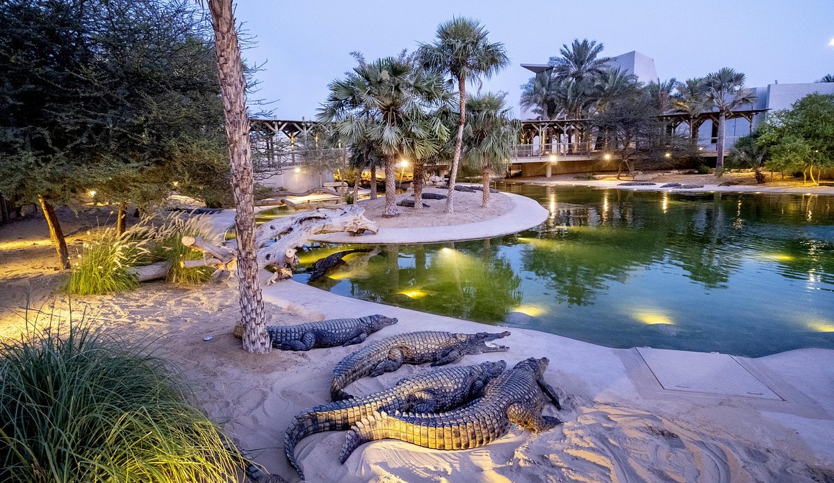 crocodile-park (1)