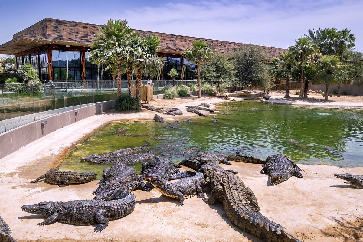 crocodile-park