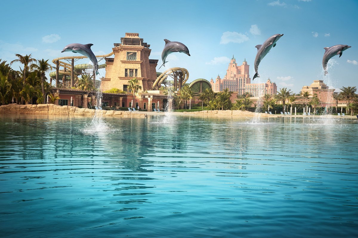dolphin-bay