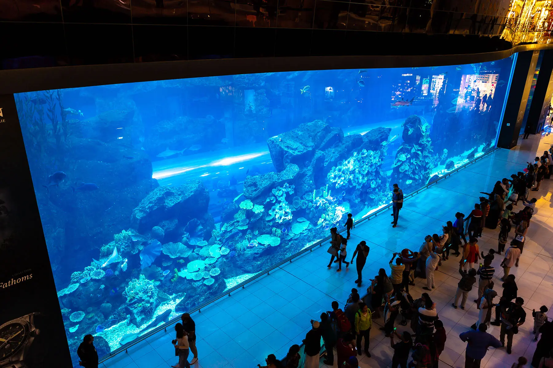 dubai-aquarium-dubai-mall-1.jpg