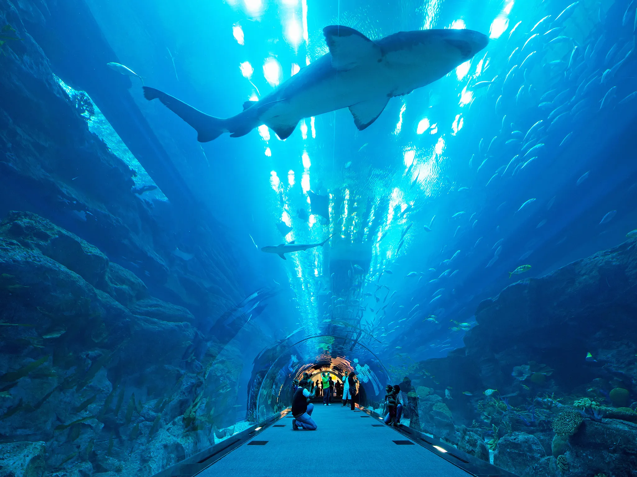 dubai-aquarium-shark-tunnel-cr-alamy