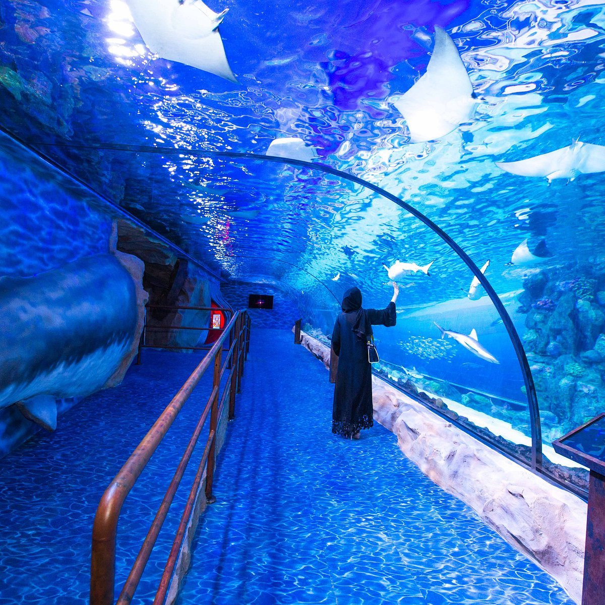 dubai-aquarium-underwater