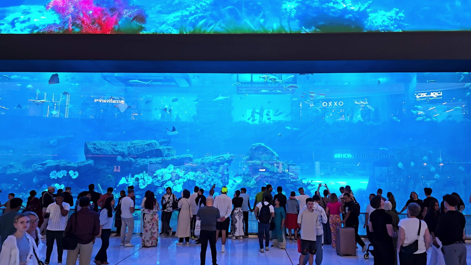 uae-dubai-united-arab-emirates-01-april-2024-dubai-mall-aquarium-gazing-crowds-admire-the-vibrant-marine-life-at-a-large-indoor-aquarium-in-a-dubai-shopping-